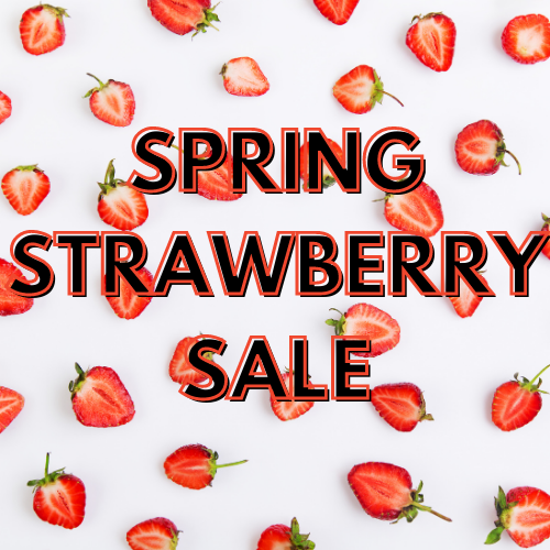 Spring Strawberry Sale